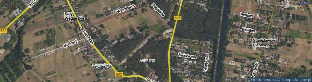 Zdjęcie satelitarne Modrzewiowa ul.